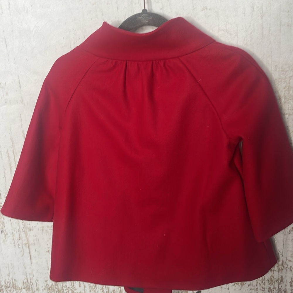 Red Cape - image 5
